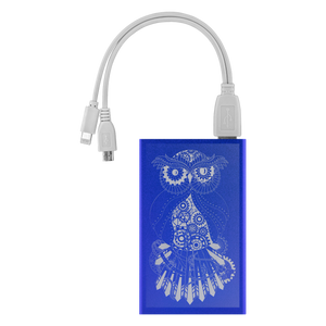 Steampunk Owl Power Bank - Hello Moa